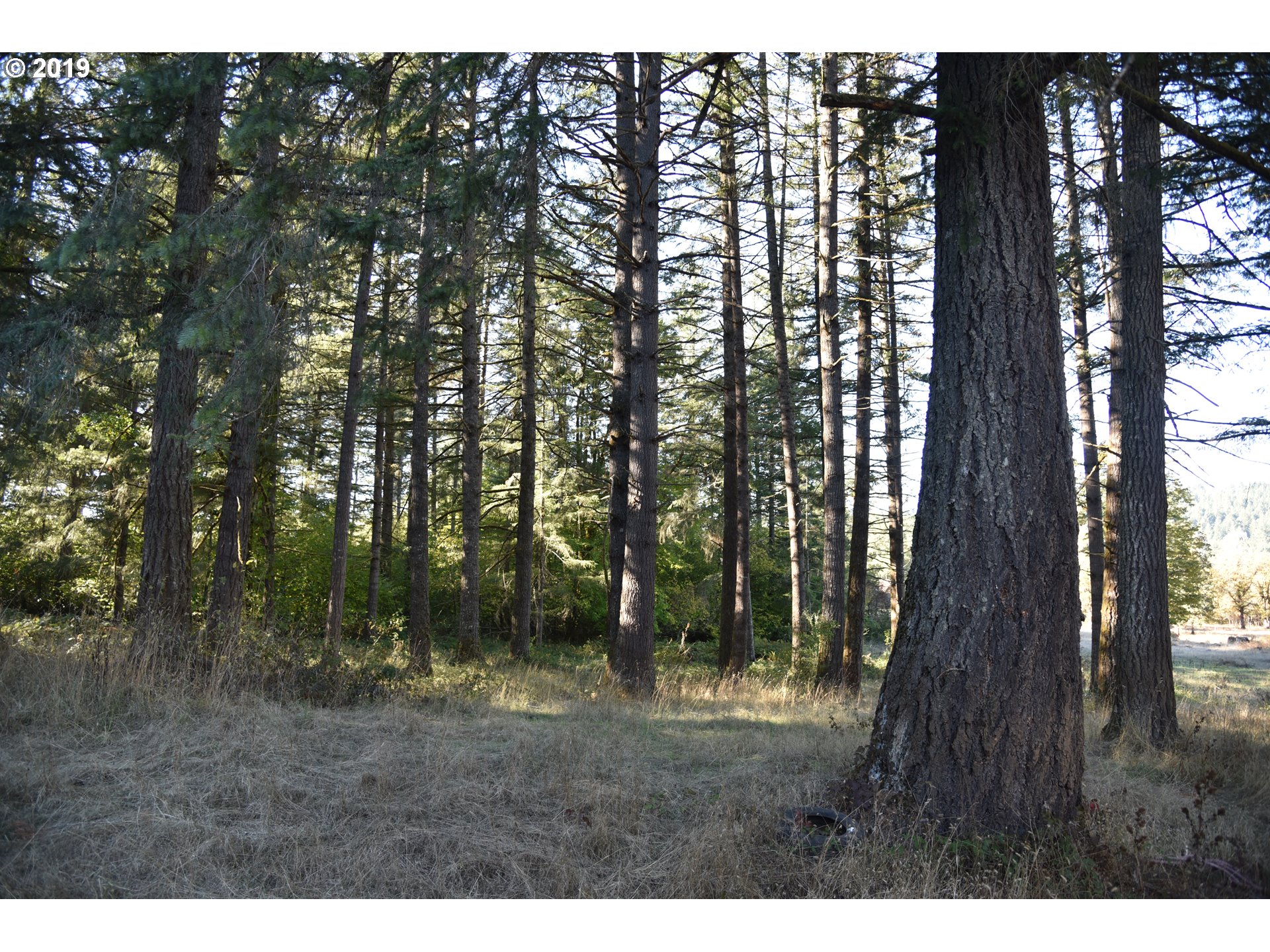 Jordan Road Scio, OR 97374 - Photo 7 of 22 Gallery Image 7