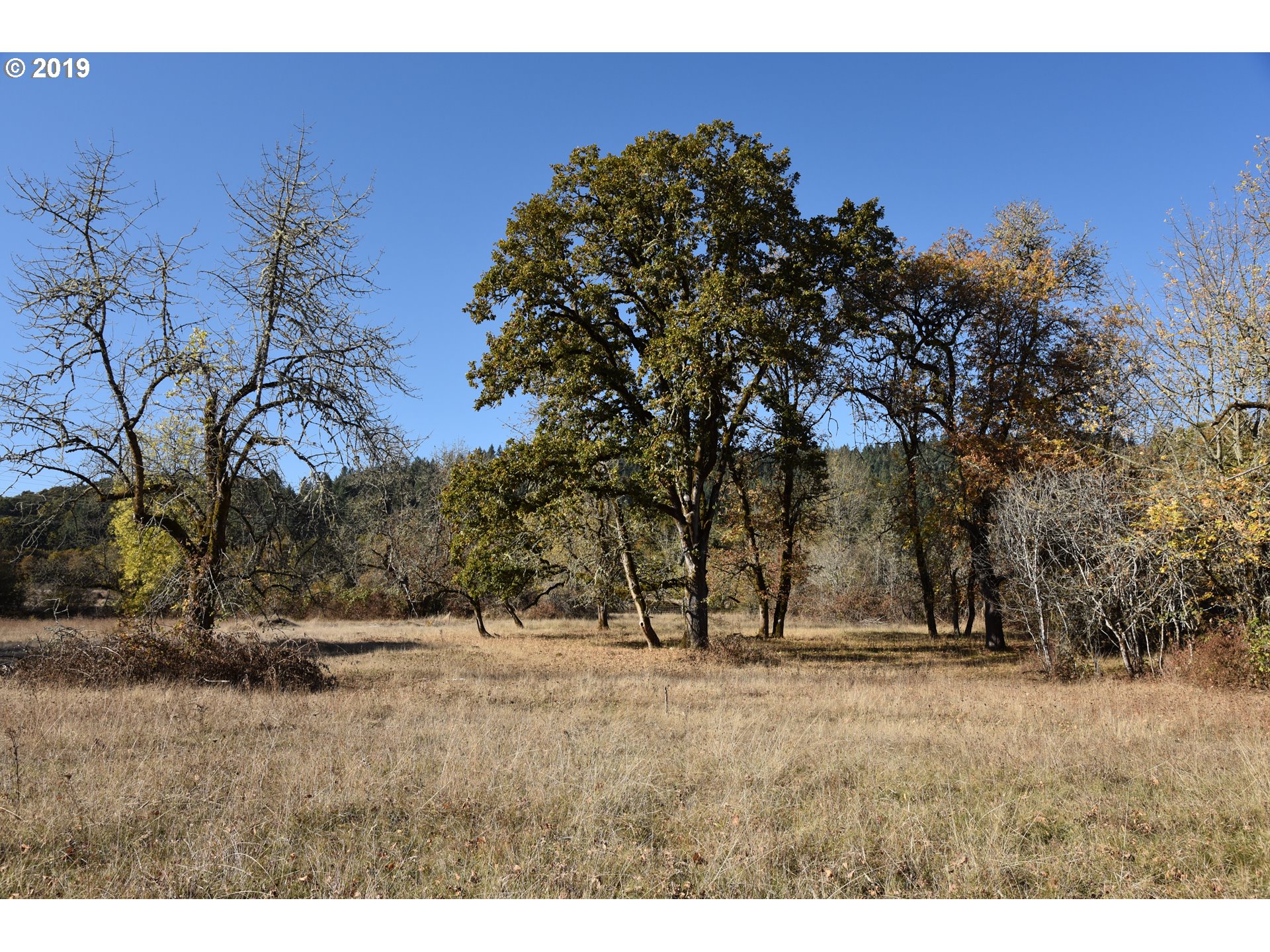 Jordan Road Scio, OR 97374 - Photo 8 of 22 Gallery Image 8