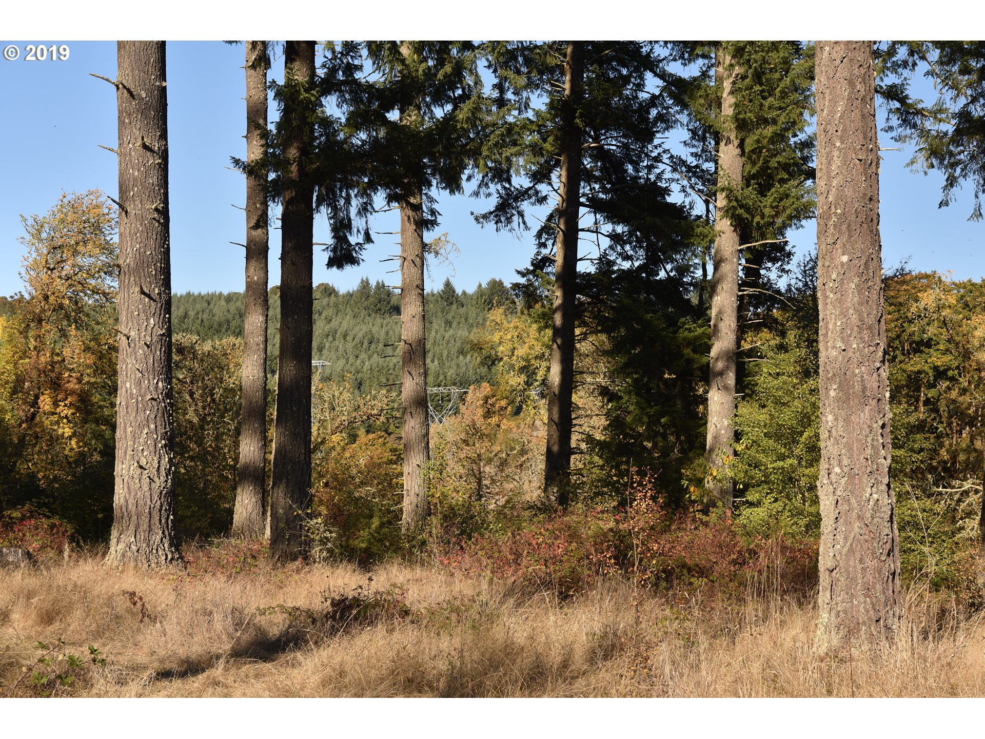 Jordan Road Scio, OR 97374 - Photo 10 of 22 Gallery Image 10
