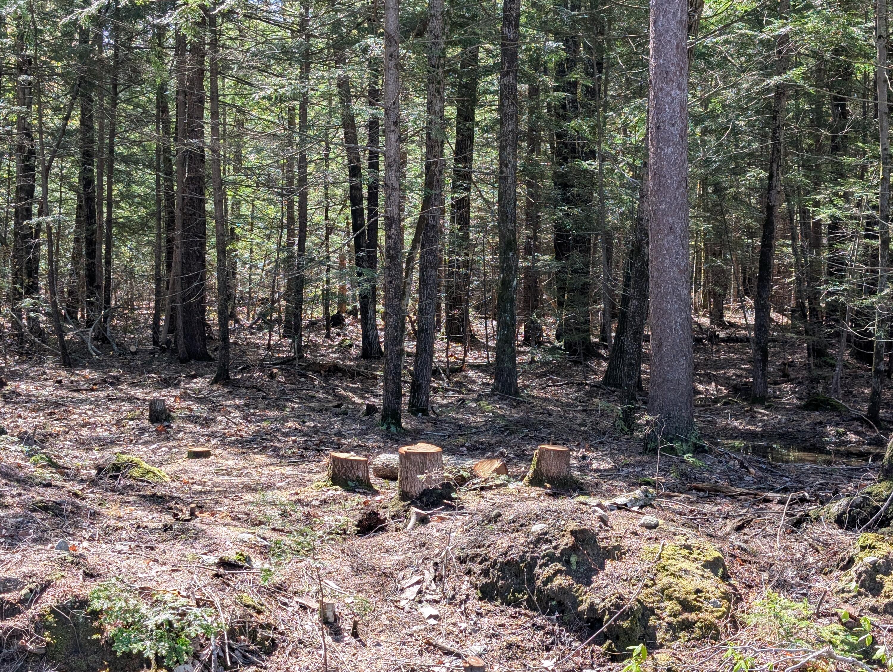 35 McAllister Road Otisfield, ME 04270 - Photo 6 of 7 11
