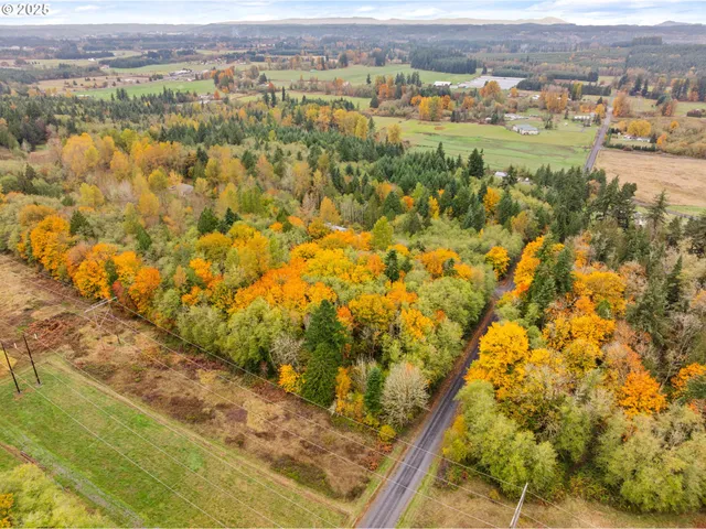 a view of city and mountain
