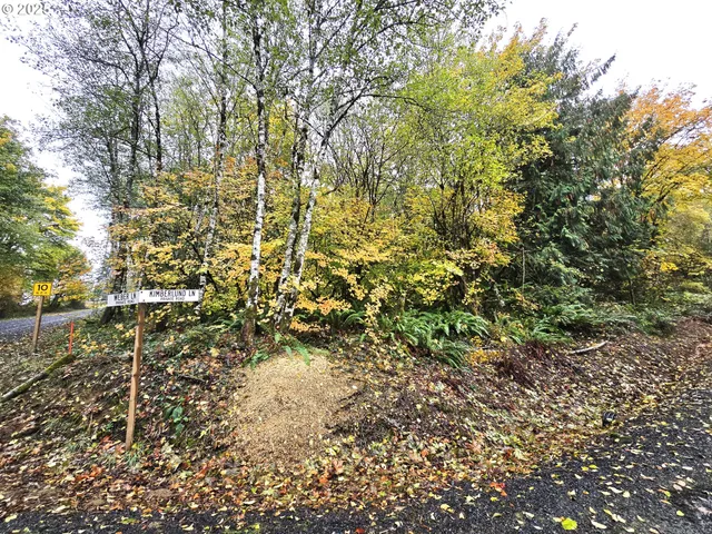 a view of a yard with a tree