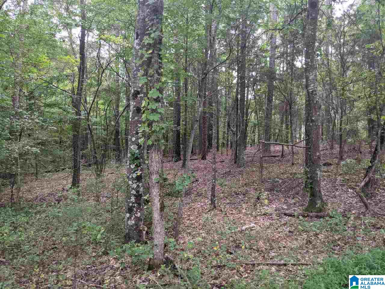 0 Smith Avenue, Unit 3 2 Anniston, AL 36207 - Photo 41 of 43