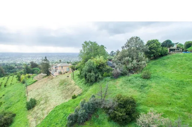 a view of a lake and green space