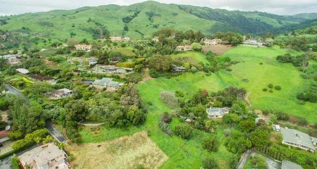 a view of a lush green forest with trees and some houses