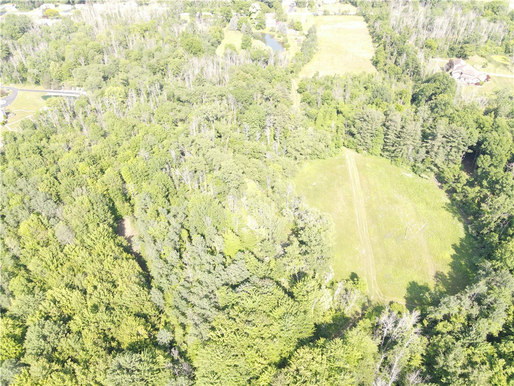 1453 Manitou Road Parma, NY 14559 - Photo 3 of 5