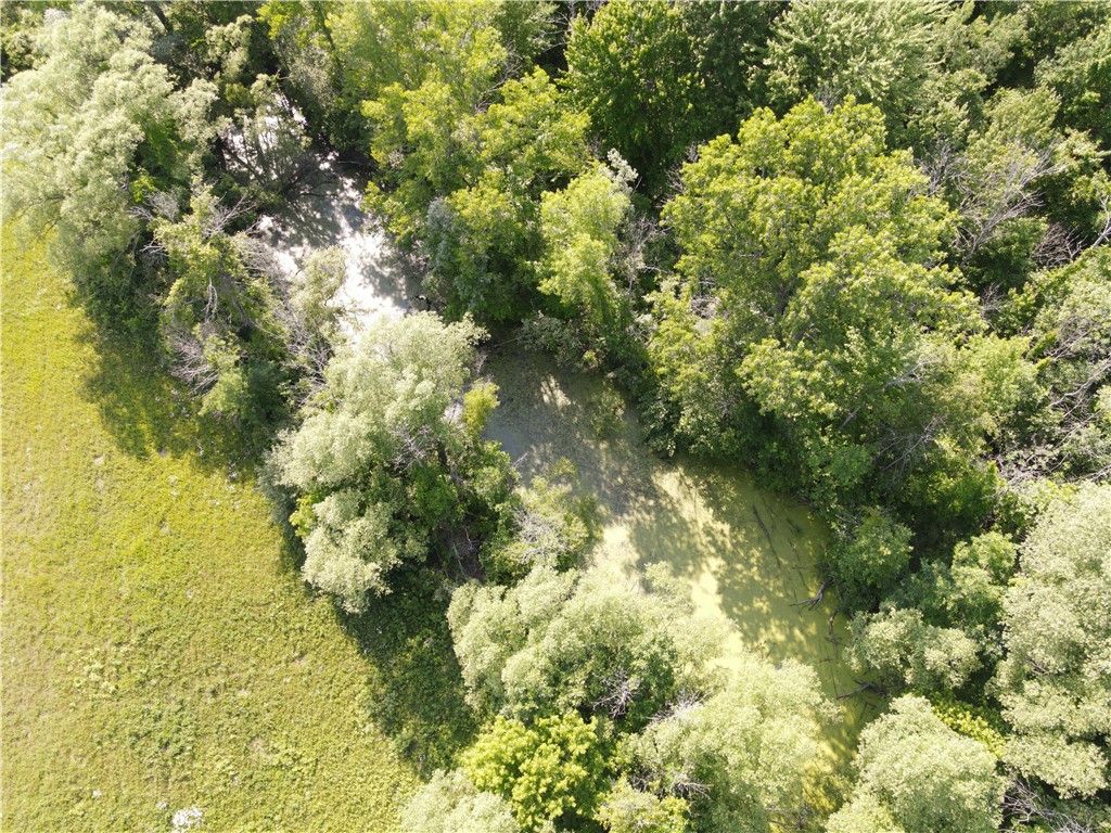 1453 Manitou Road Parma, NY 14559 - Photo 4 of 5