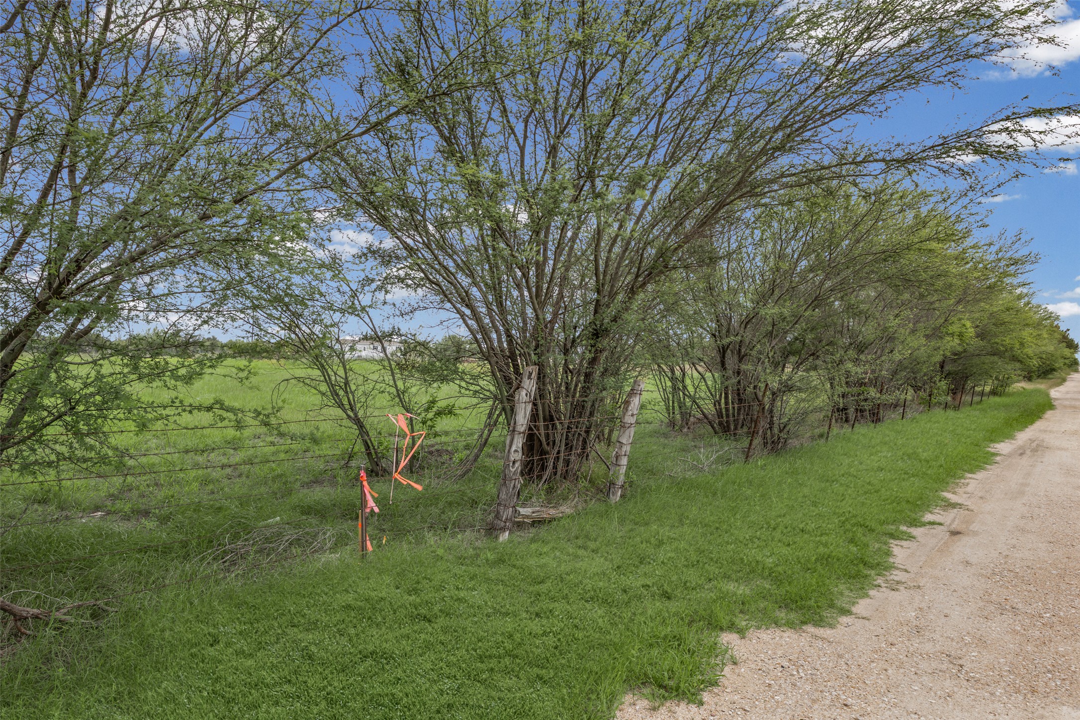 11622 Doyle Overton Road Austin, TX 78719 - Photo 6 of 8 a view of backyard with green space