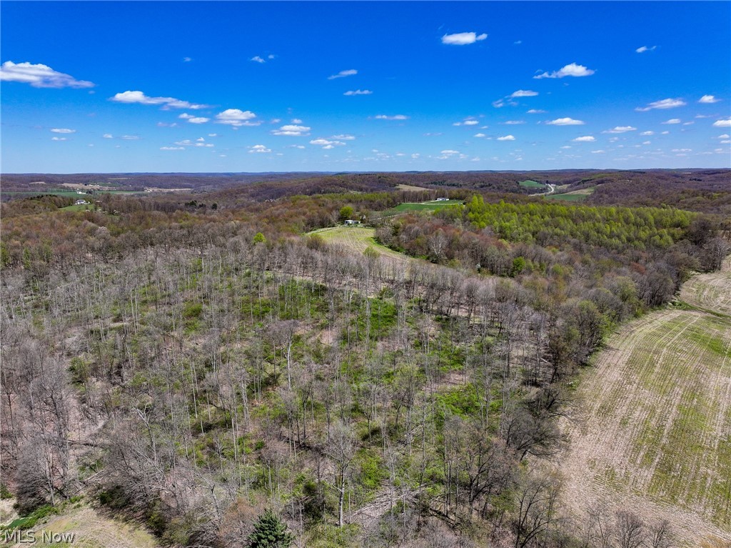 6692 Butler-North Liberty Road Butler, OH 44822 - Photo 10 of 23 View of bird's eye view