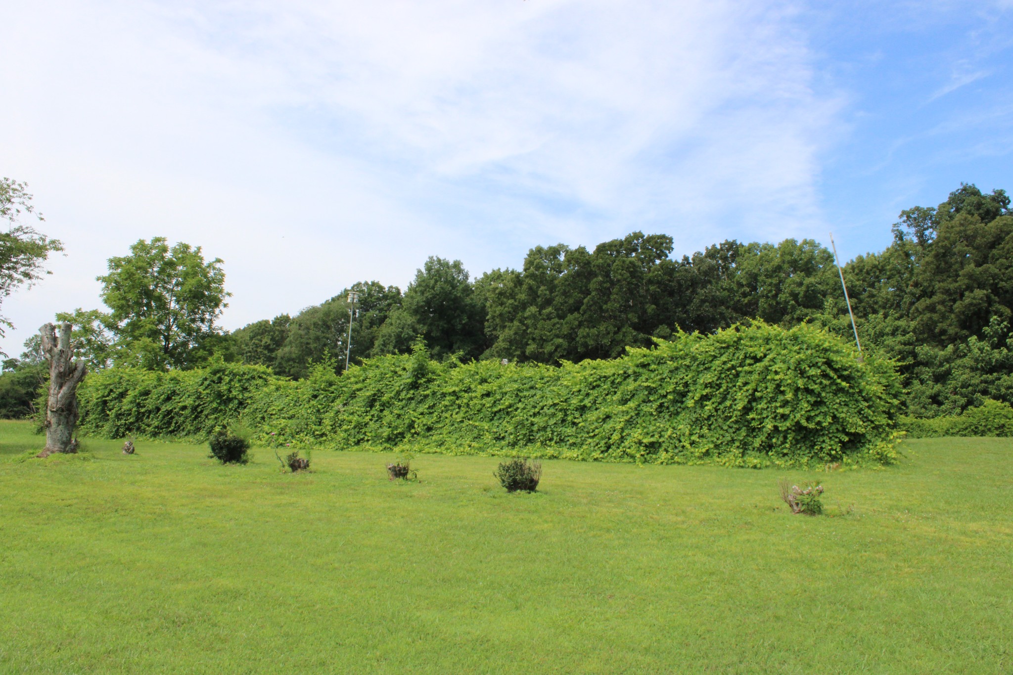 612 Bost Road McMinnville, TN 37110 - Photo 11 of 47