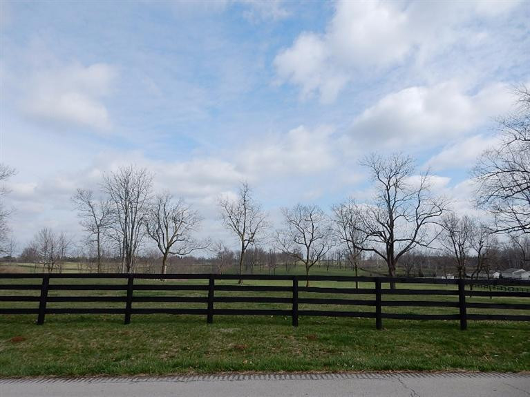 1367 Harp Innis Road Lexington, KY 40511 - Photo 7 of 7 Photo 7