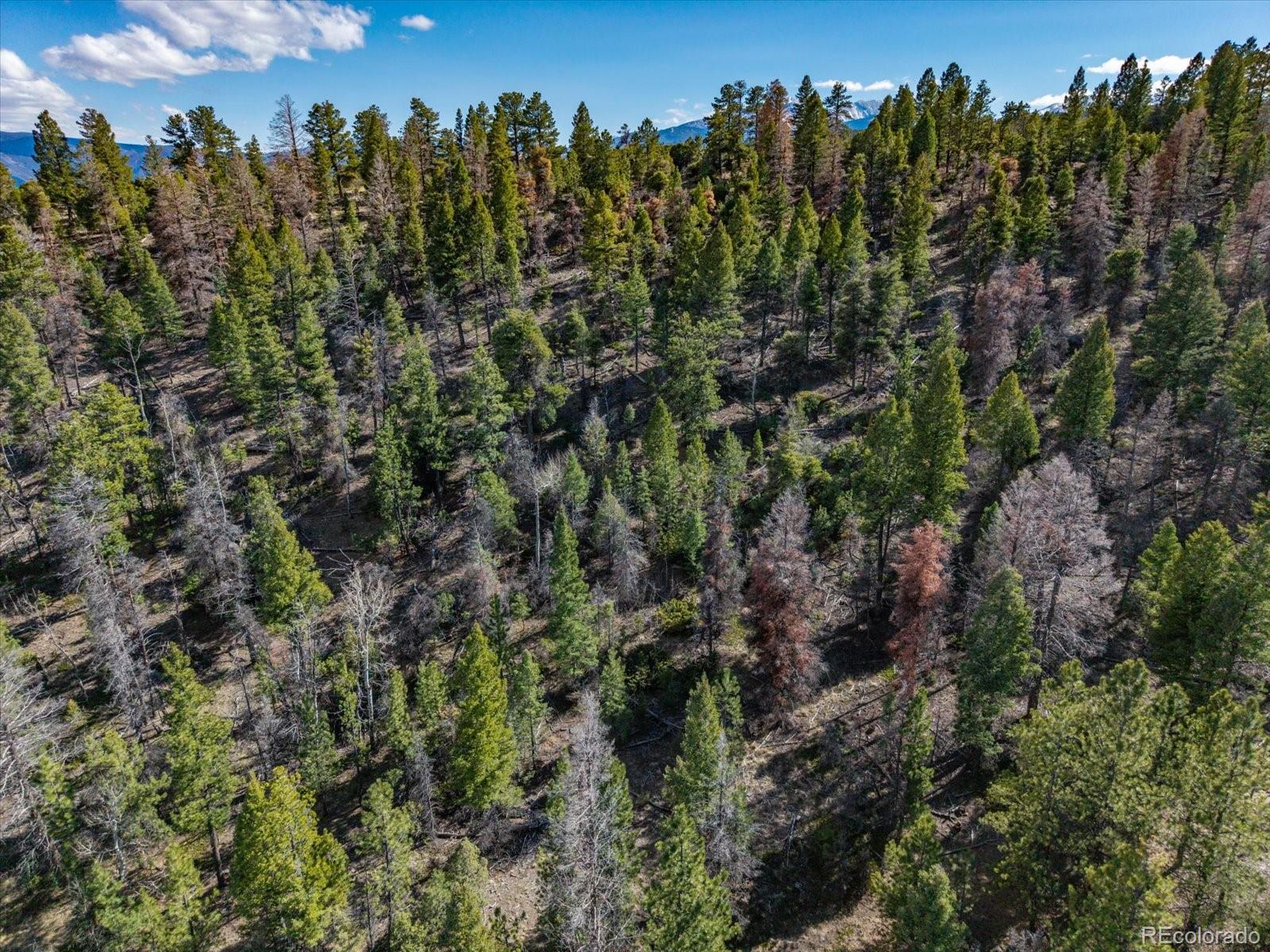 251 Tbd County Road Salida, CO 81201 - Photo 14 of 28