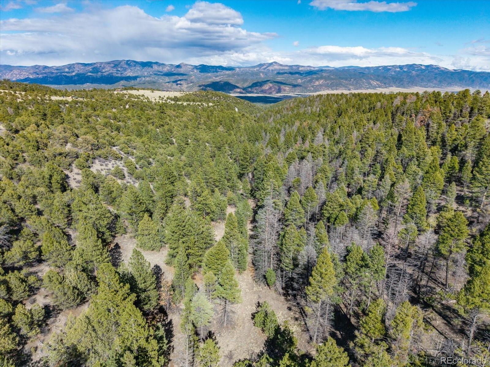 251 Tbd County Road Salida, CO 81201 - Photo 16 of 28