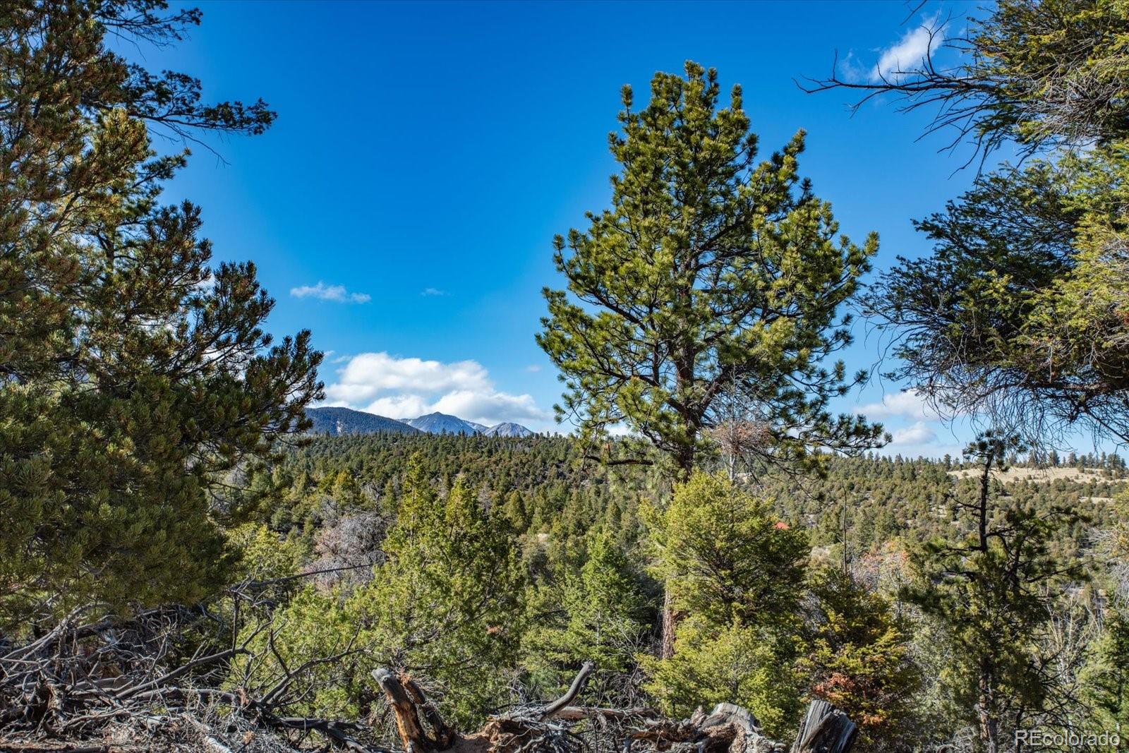 251 Tbd County Road Salida, CO 81201 - Photo 21 of 28