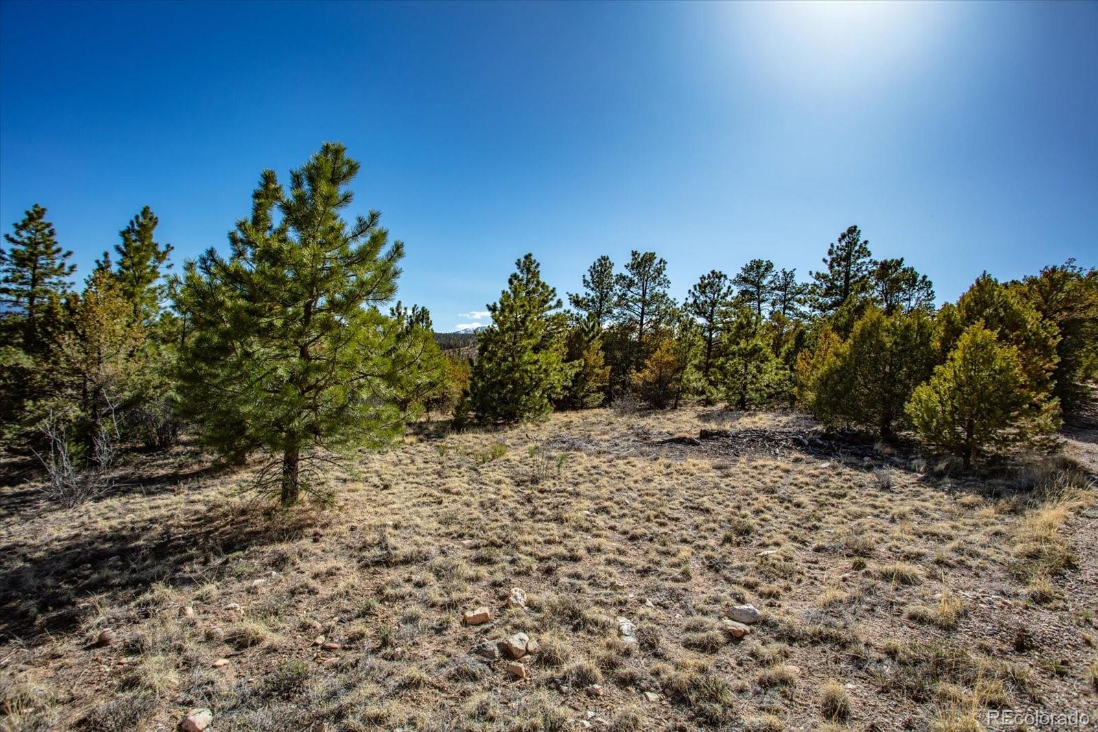 251 Tbd County Road Salida, CO 81201 - Photo 22 of 28