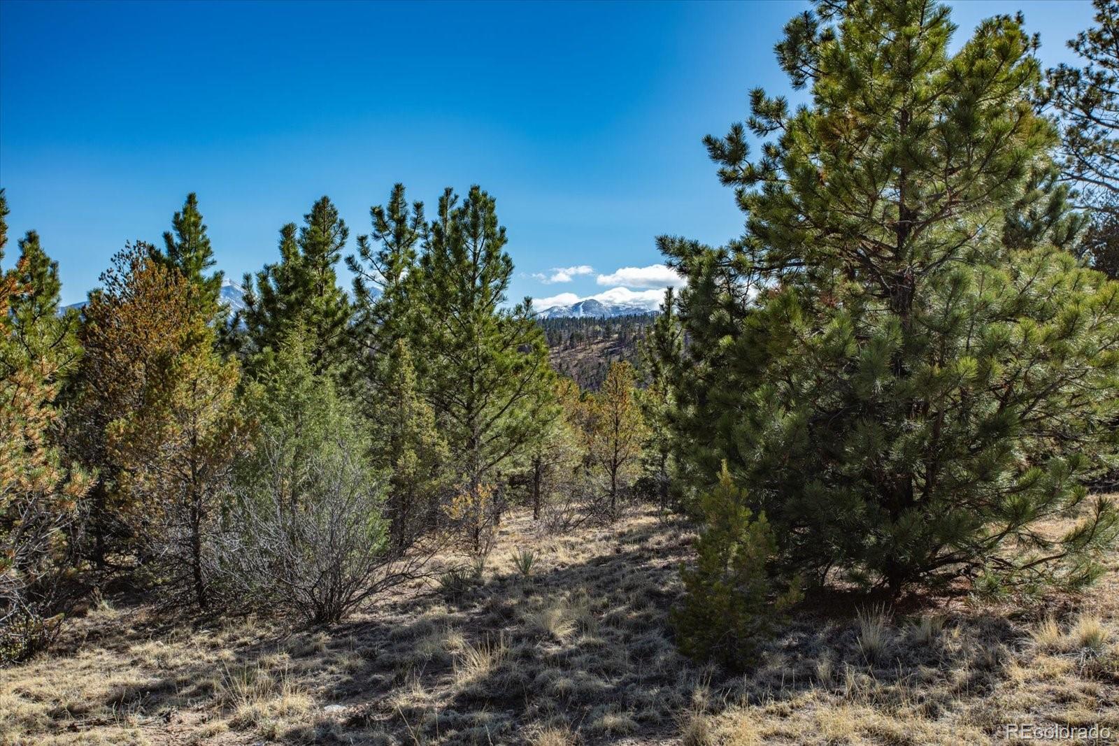 251 Tbd County Road Salida, CO 81201 - Photo 23 of 28