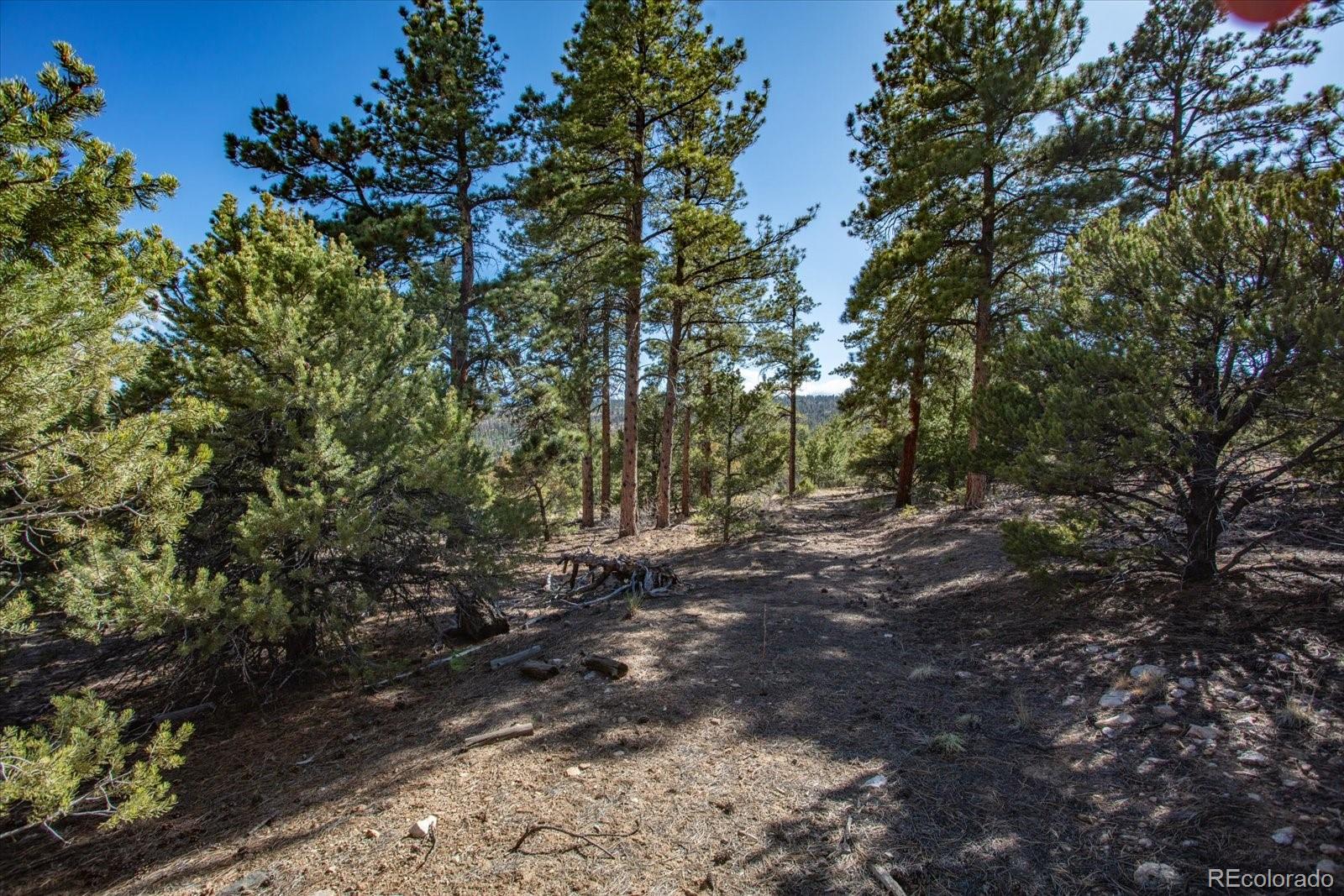 251 Tbd County Road Salida, CO 81201 - Photo 24 of 28