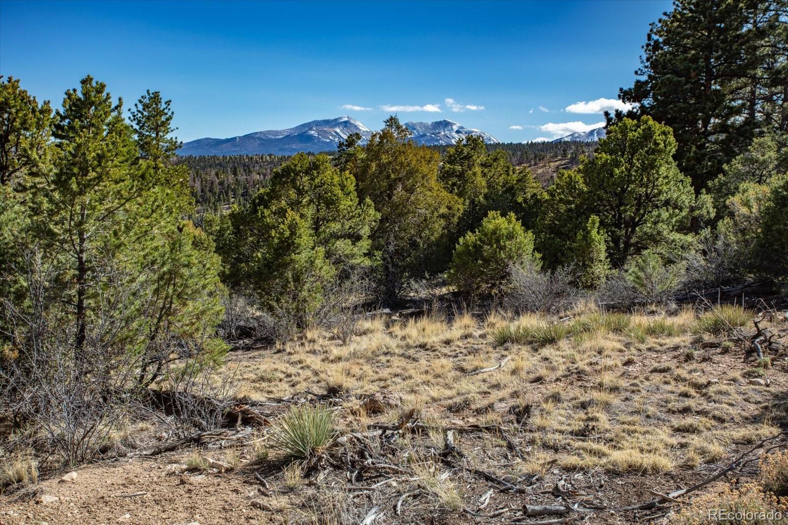 251 Tbd County Road Salida, CO 81201 - Photo 25 of 28