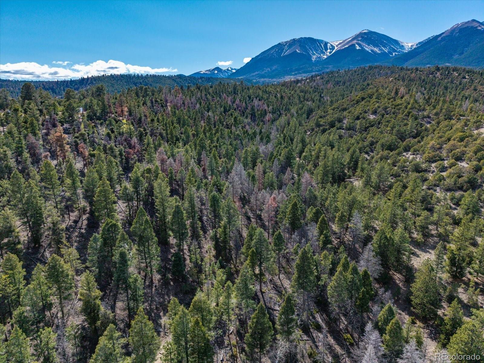 251 Tbd County Road Salida, CO 81201 - Photo 9 of 28