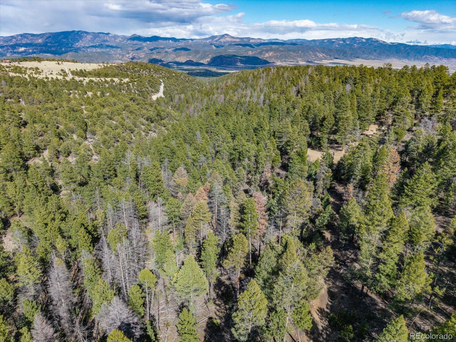 251 Tbd County Road Salida, CO 81201 - Photo 10 of 28