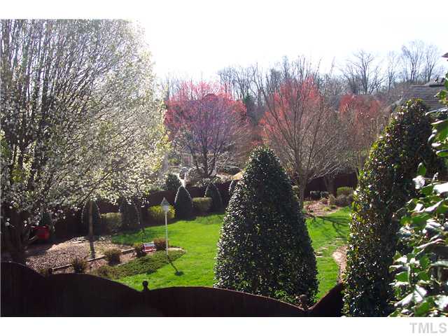 1609 Stannard Trail Raleigh, NC 27612 - Photo 24 of 25 a view of a garden with an tree