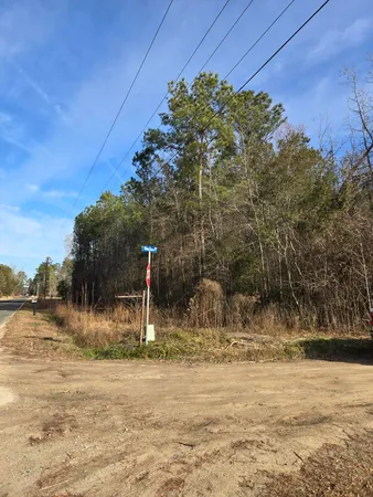 $37,000 | 0 Whitestone Drive, Reevesville, SC 29471