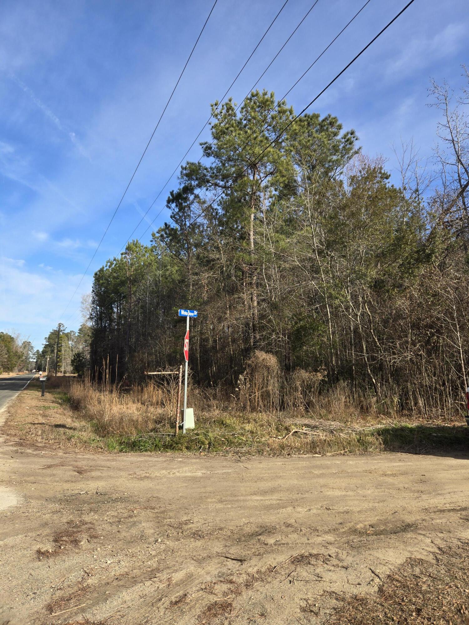 0 Whitestone Drive Reevesville, SC 29471 - Photo 1 of 3 lot 1 Whitestone