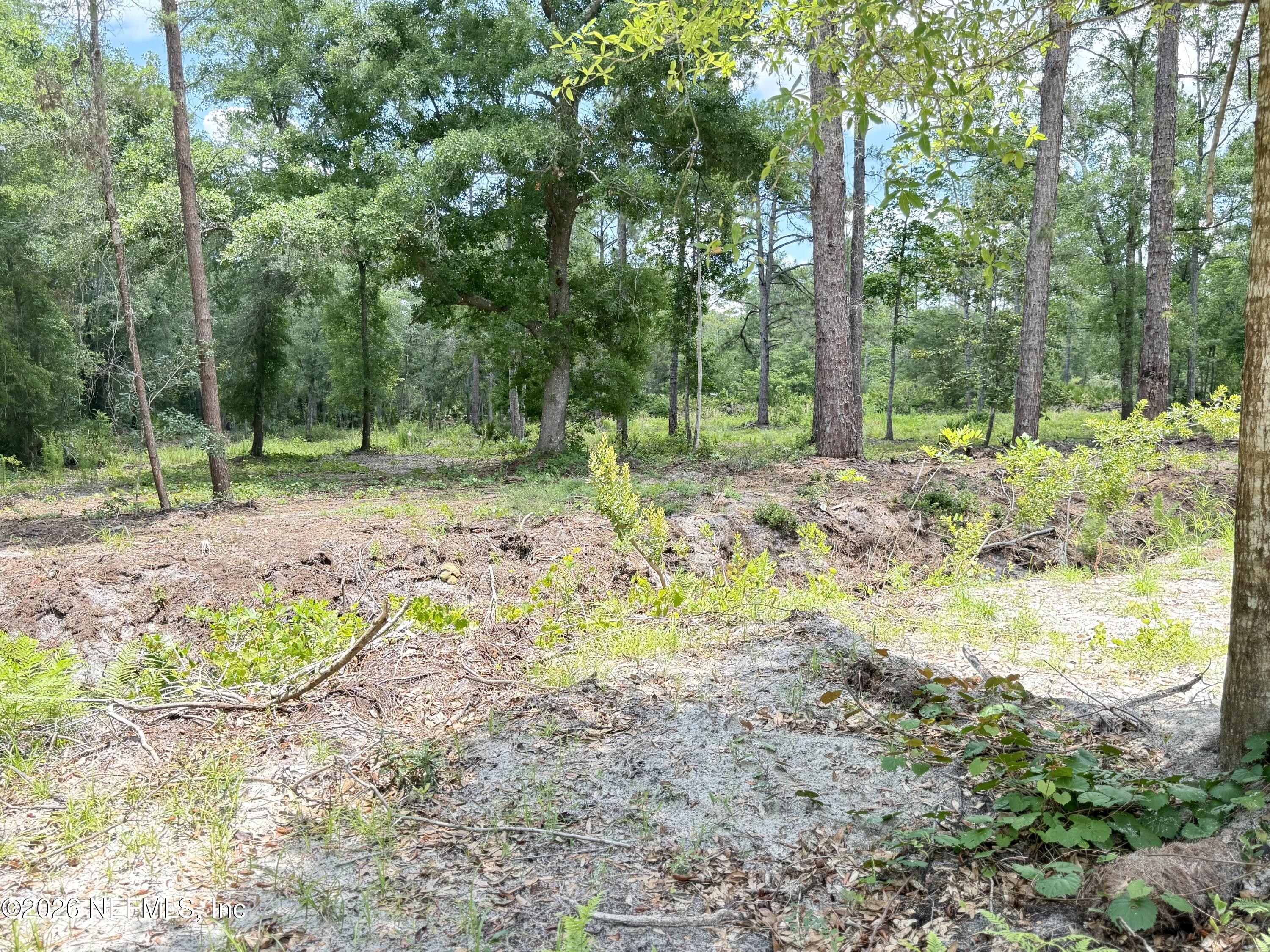 438 Chamberlain Road Satsuma, FL 32189 - Photo 21 of 21 IMG_2990