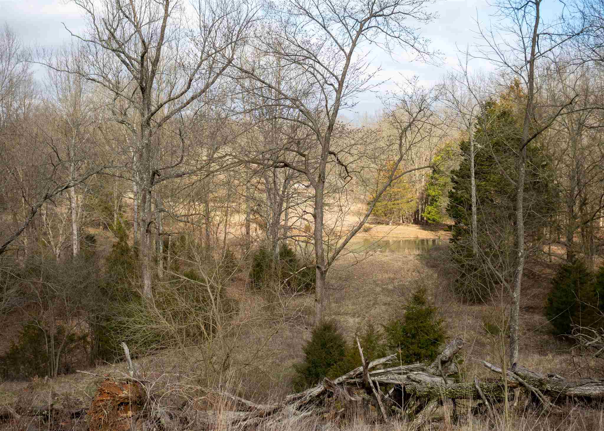2458 Rabbitsville Road Mitchell, IN 47446 - Photo 31 of 36
