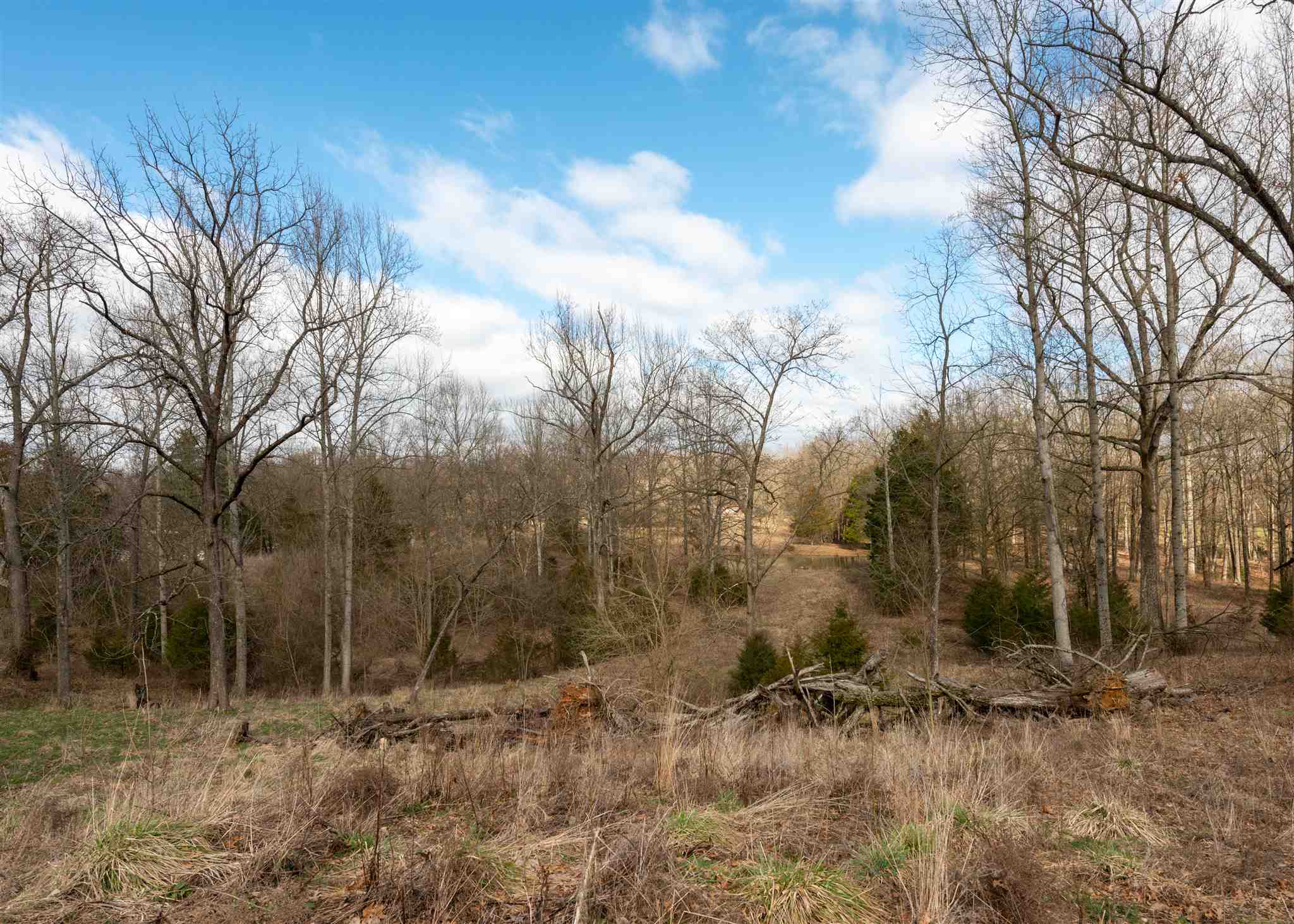 2458 Rabbitsville Road Mitchell, IN 47446 - Photo 33 of 36