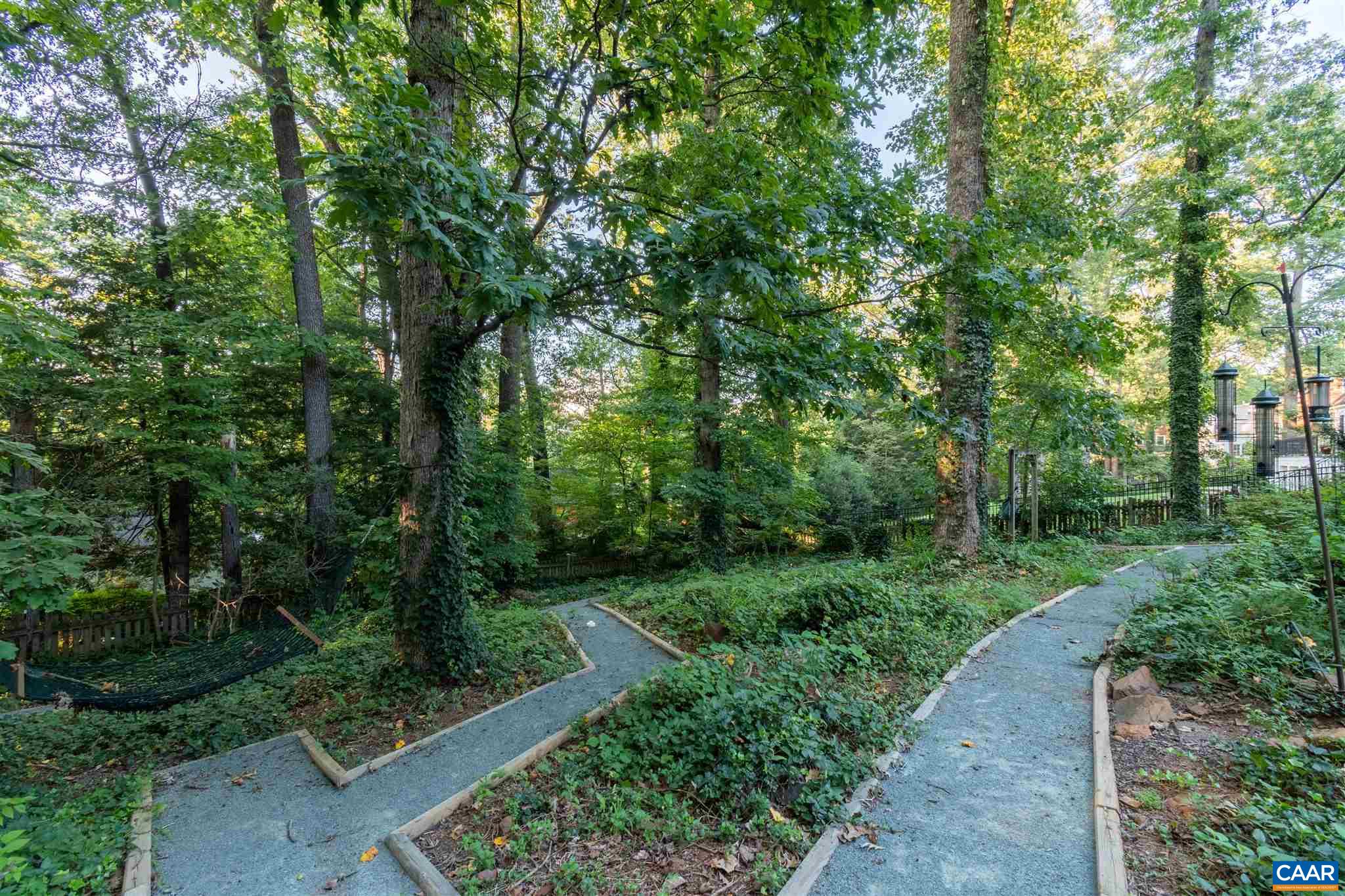 1329 Rugby Road Charlottesville, VA 22903 - Photo 54 of 60 a view of a park with large trees