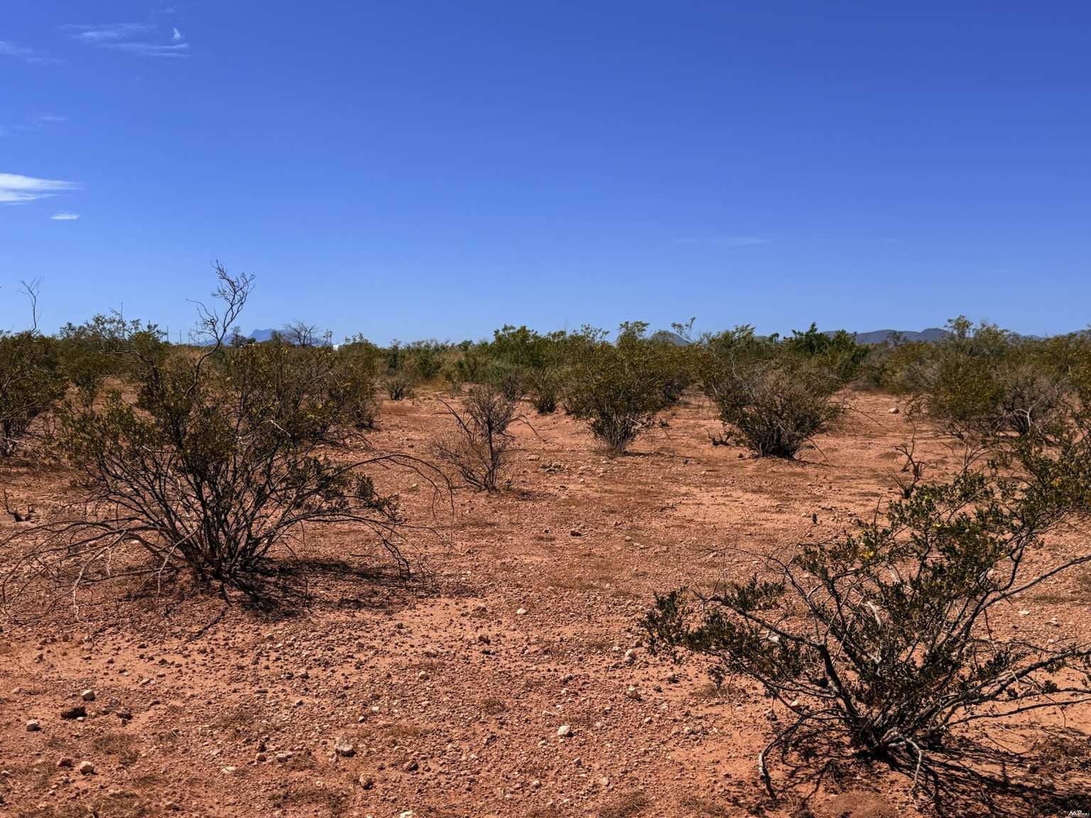 64 Ruff Road Animas, NM 88020 - Photo 21 of 25 Gallery Image 21