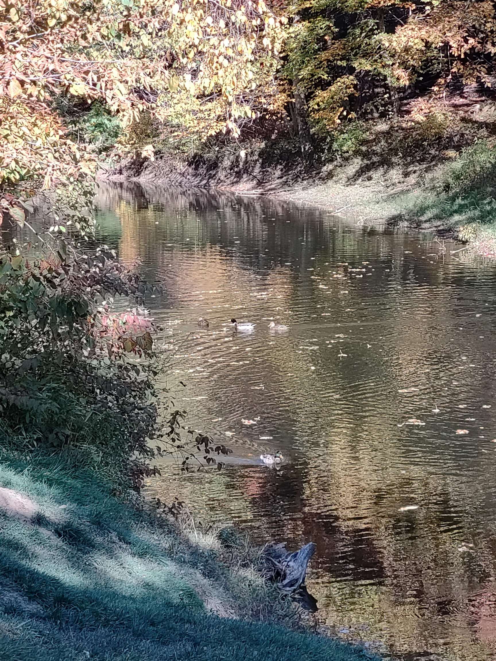 1009 Camelot Drive Exeter, NH 03833 - Photo 29 of 32