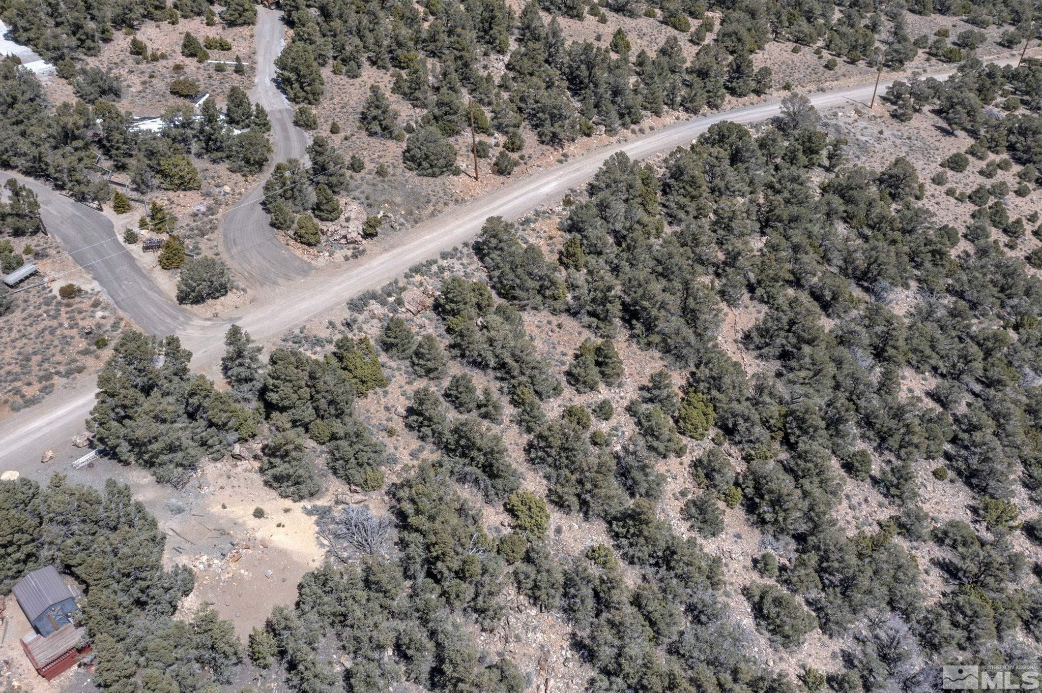 770 Buckeye Road Reno, NV 89521 - Photo 16 of 18 a close up of a snow in a forest