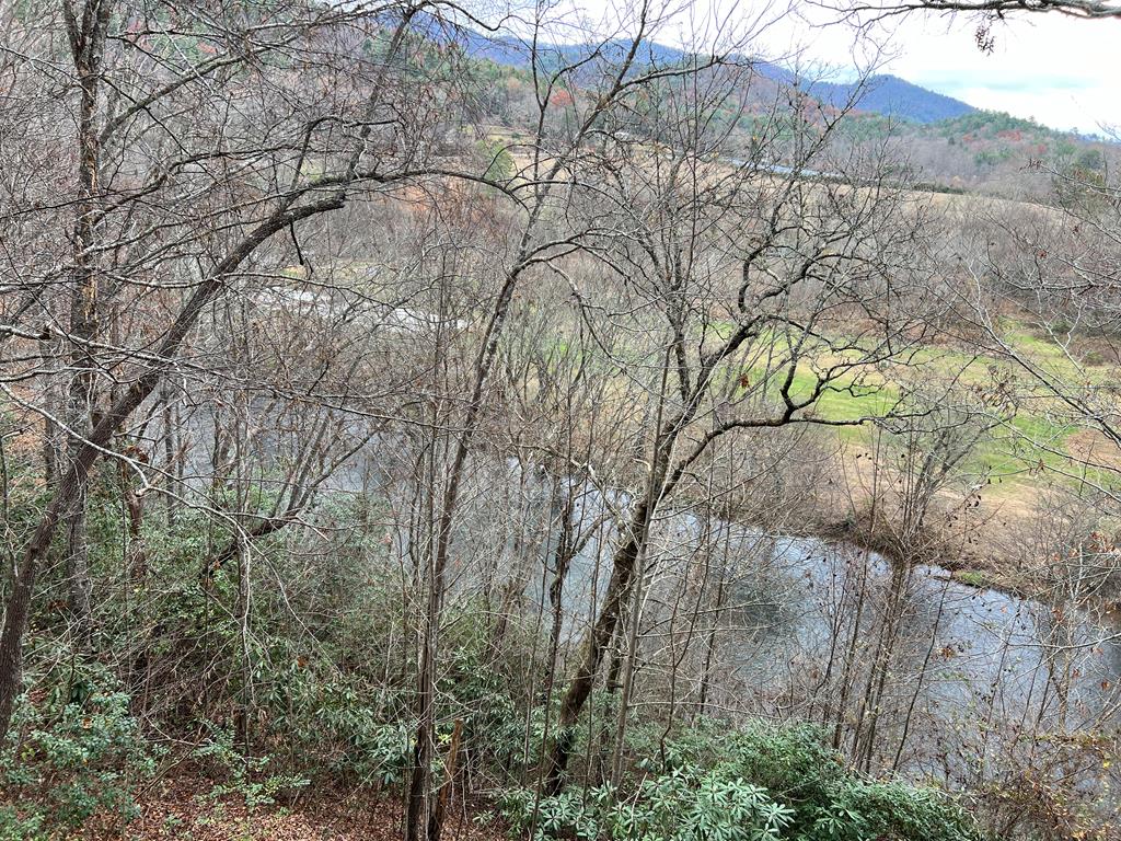 14 Rivendell Way Hayesville, NC 28904 - Photo 47 of 70