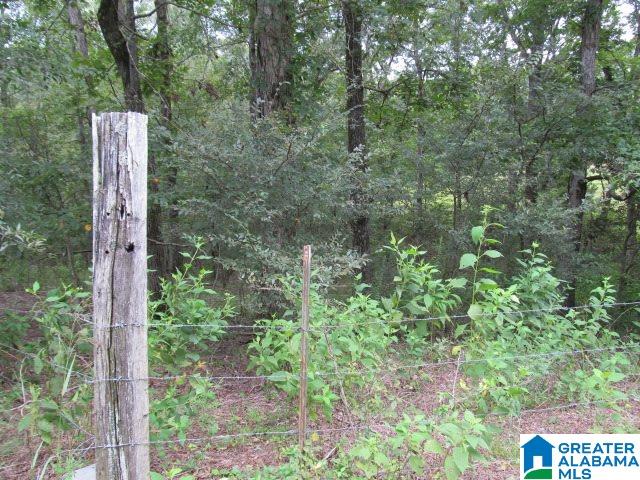 79 Highway 79, Unit 33 Cleveland, AL 35049 - Photo 14 of 32