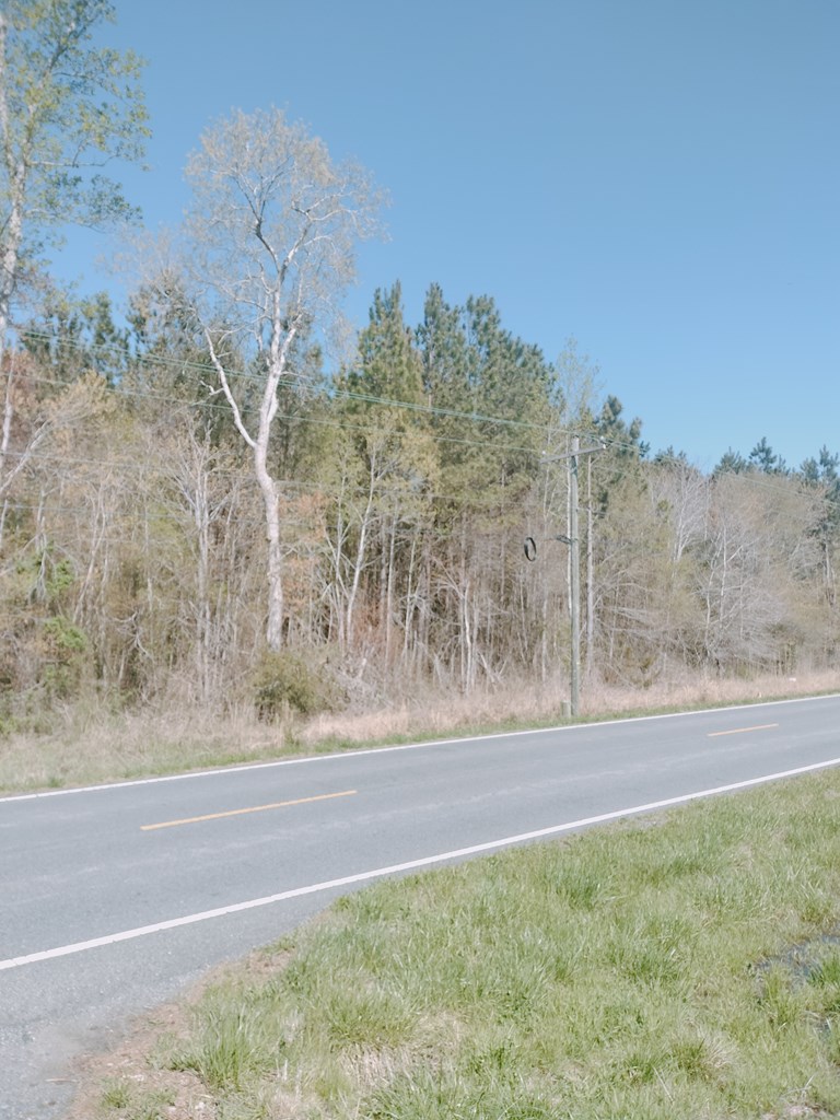 0 Mears Station Road Bloxom, VA 23308 - Photo 5 of 5