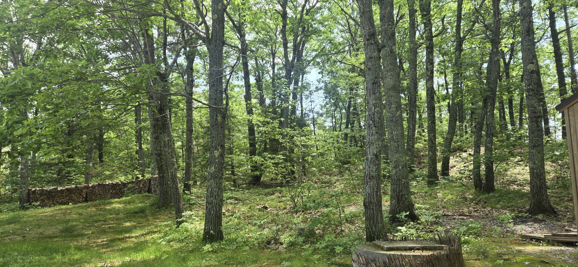 139 Bear Trap Road Bridgton, ME 04009 - Photo 10 of 97 20260612_130647