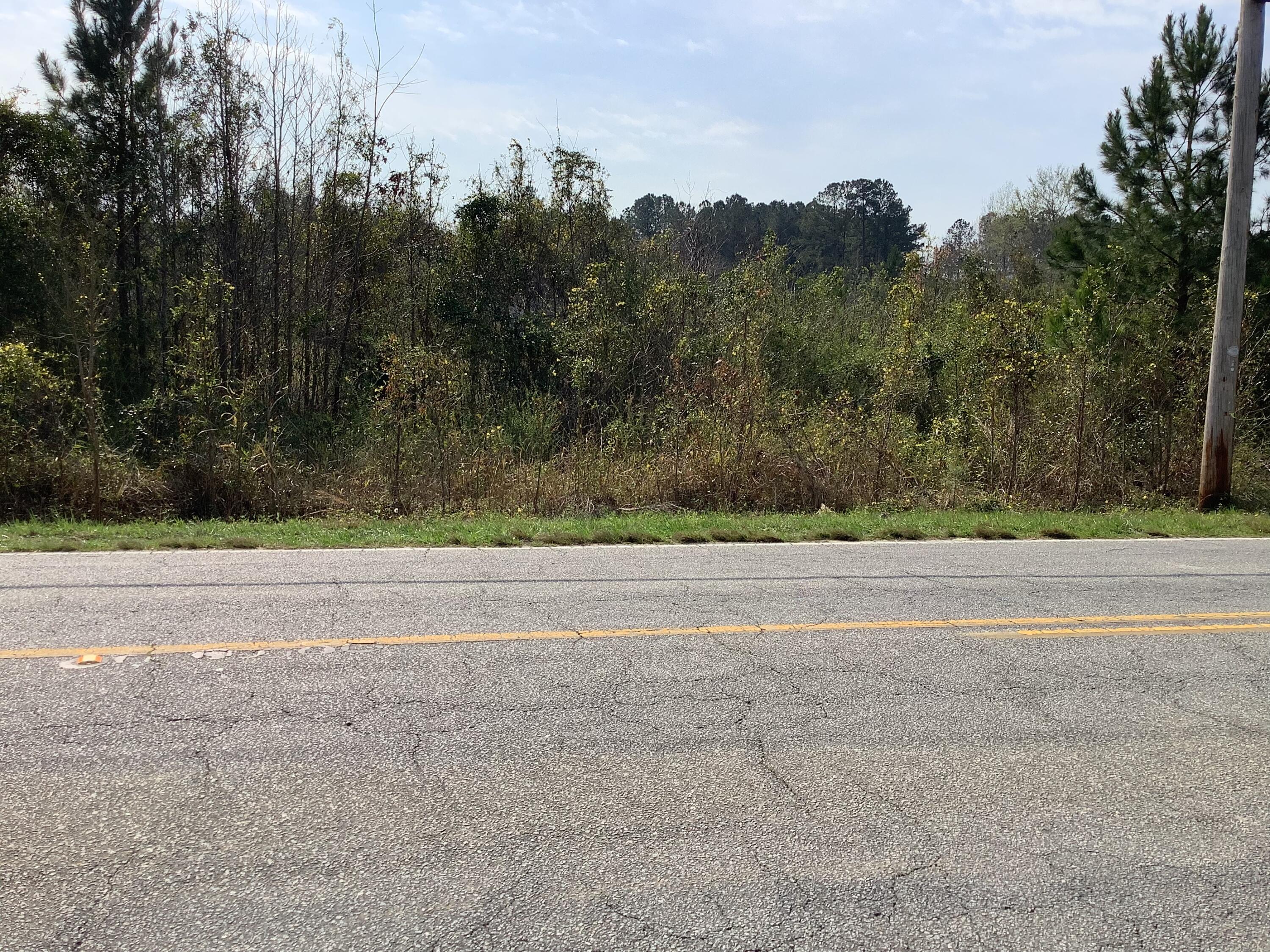 0 Whitesville Road Moncks Corner, SC 29461 - Photo 1 of 1 26EC35D4-C7F9-48C7-8D33-4F77B7B2AA99