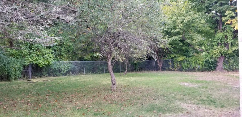 75 Fitzgerald Road Springfield, MA 01104 - Photo 3 of 16 a backyard of a house with lots of plants and large trees
