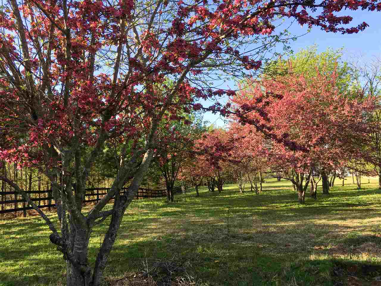 1760 Orr Road Arlington, TN 38002 - Photo 6 of 25 Gallery Image 6