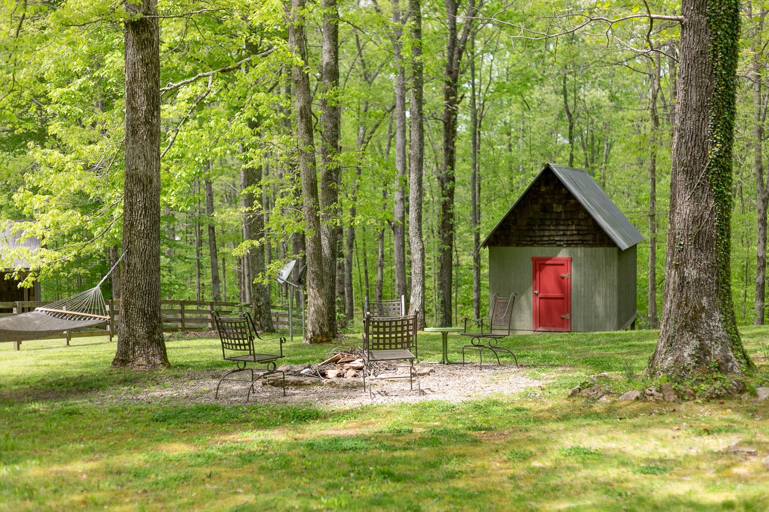 5672 Pinewood Road Franklin, TN 37064 - Photo 30 of 55 a view of backyard with green space