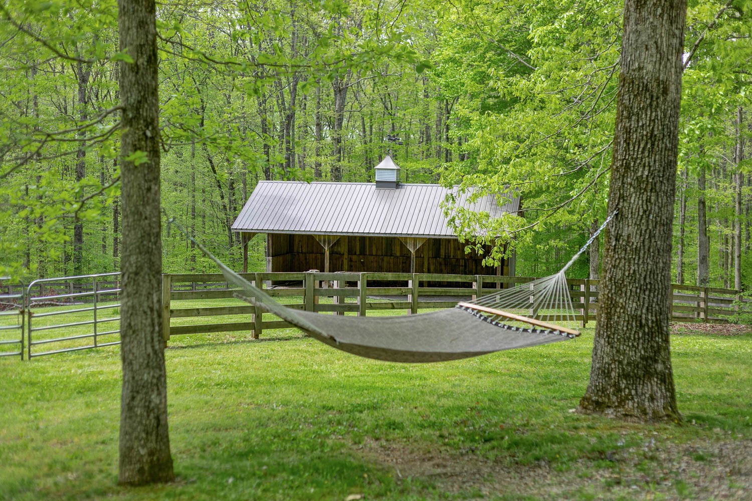 5672 Pinewood Road Franklin, TN 37064 - Photo 31 of 55