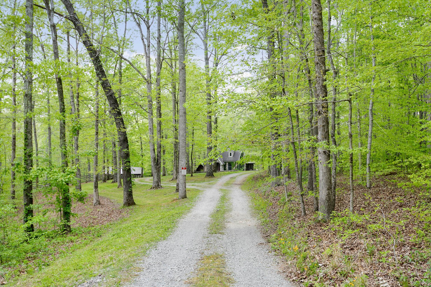 5672 Pinewood Road Franklin, TN 37064 - Photo 38 of 55 a view of yard with green space