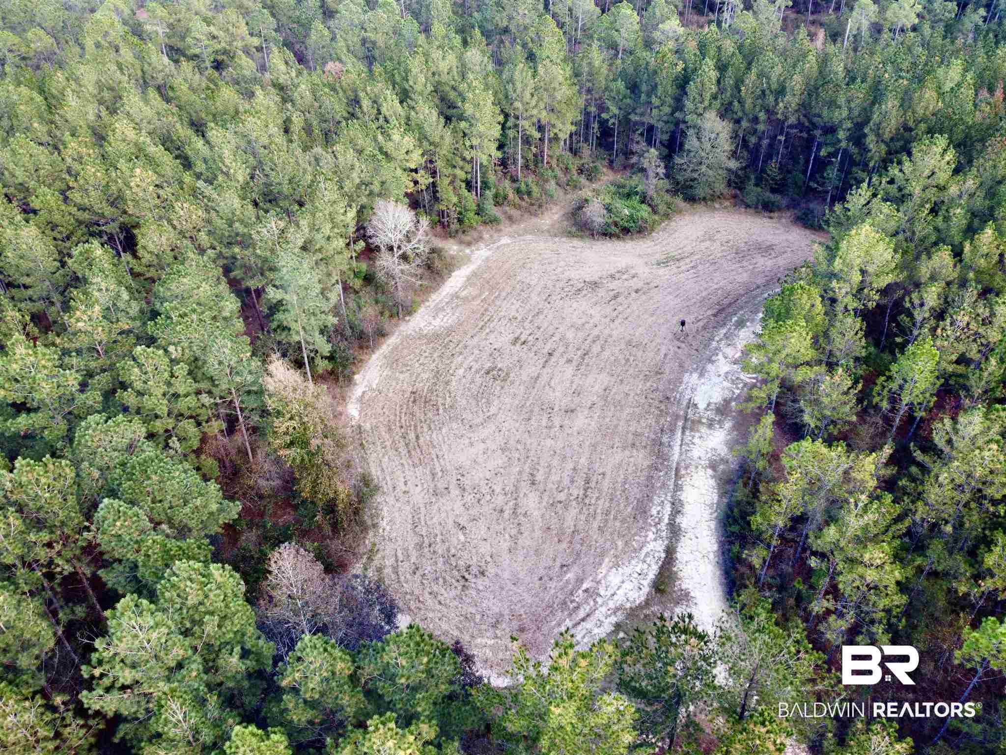 0 Whitetail Run Chatom, AL 36518 - Photo 17 of 29