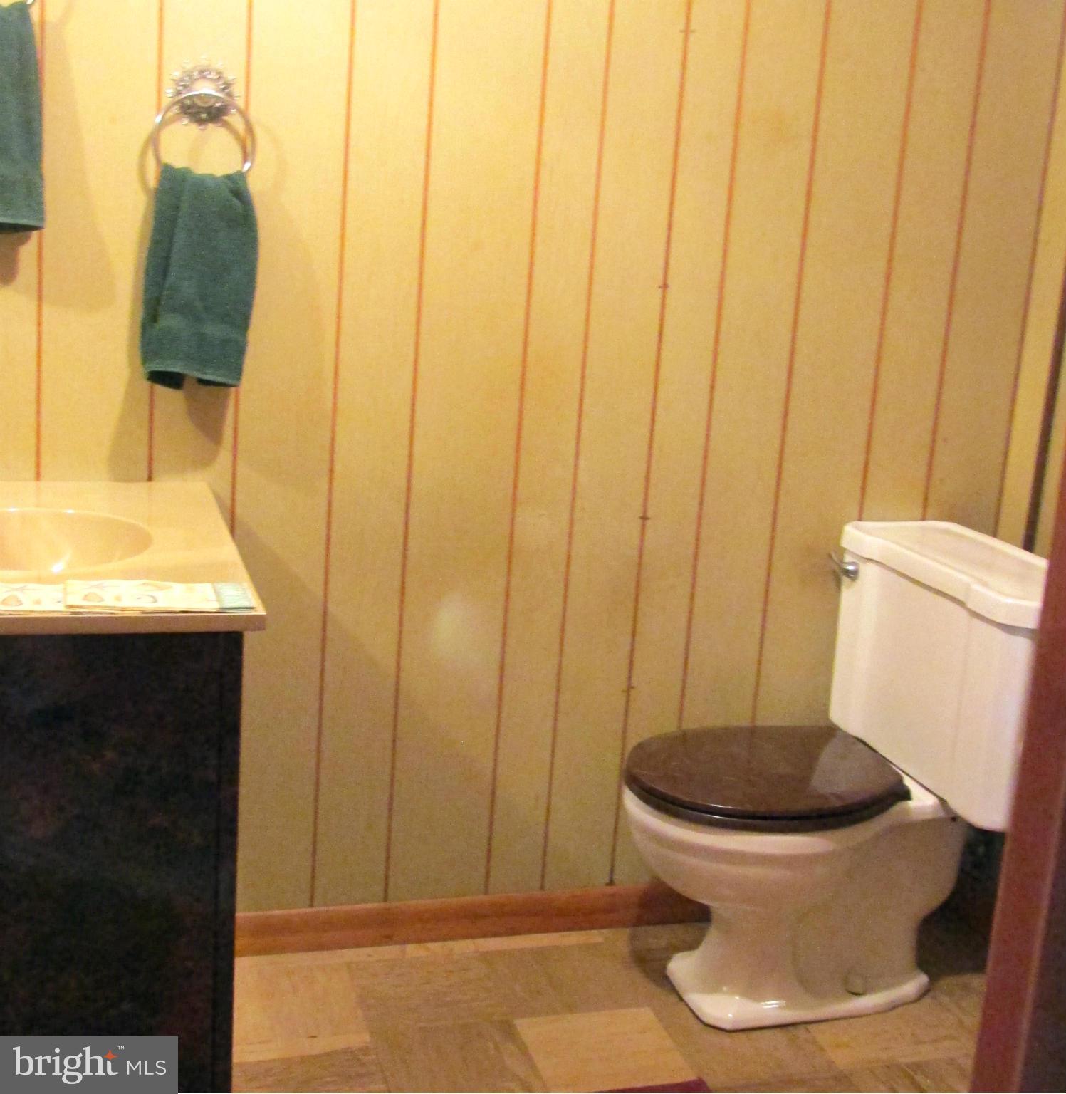 8134 Pleasant Plains Road Baltimore, MD 21286 - Photo 18 of 28 Lower level half-bath!