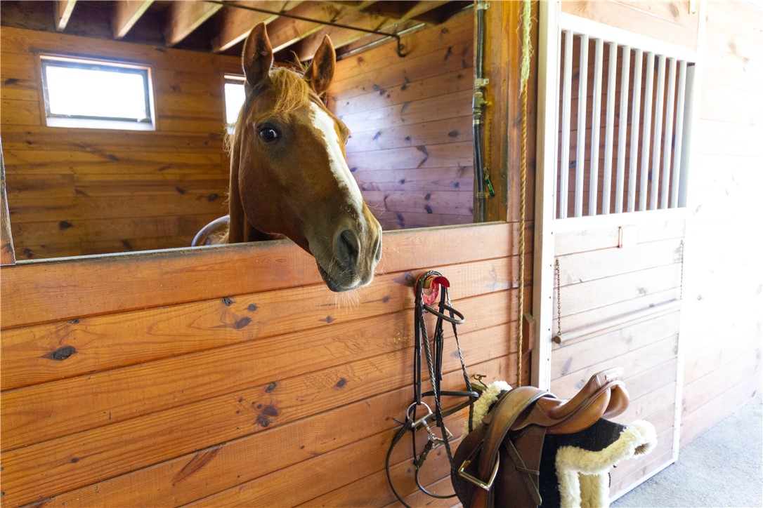 1501 Beacon Hill Road Block Island, RI 02807 - Photo 40 of 50