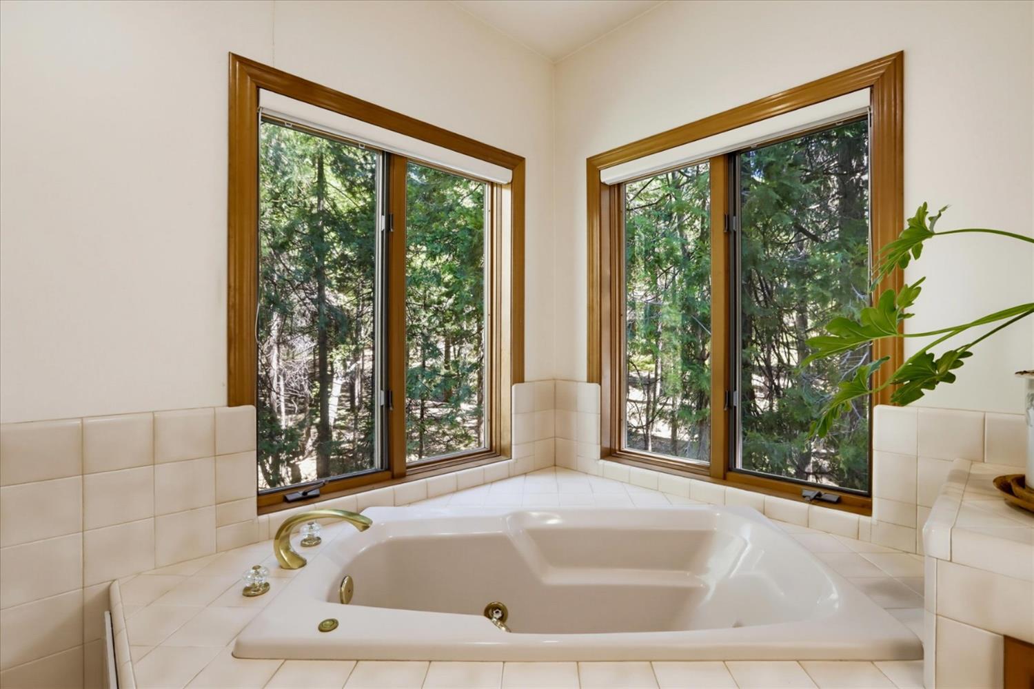 11010 Success Cross Road Nevada City, CA 95959 - Photo 42 of 89