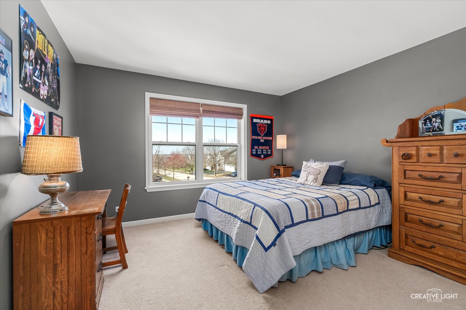 232 Loradale Road Oswego, IL 60543 - Photo 22 of 54 Gallery Image 22