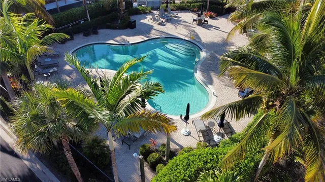 a view of a swimming pool with a garden